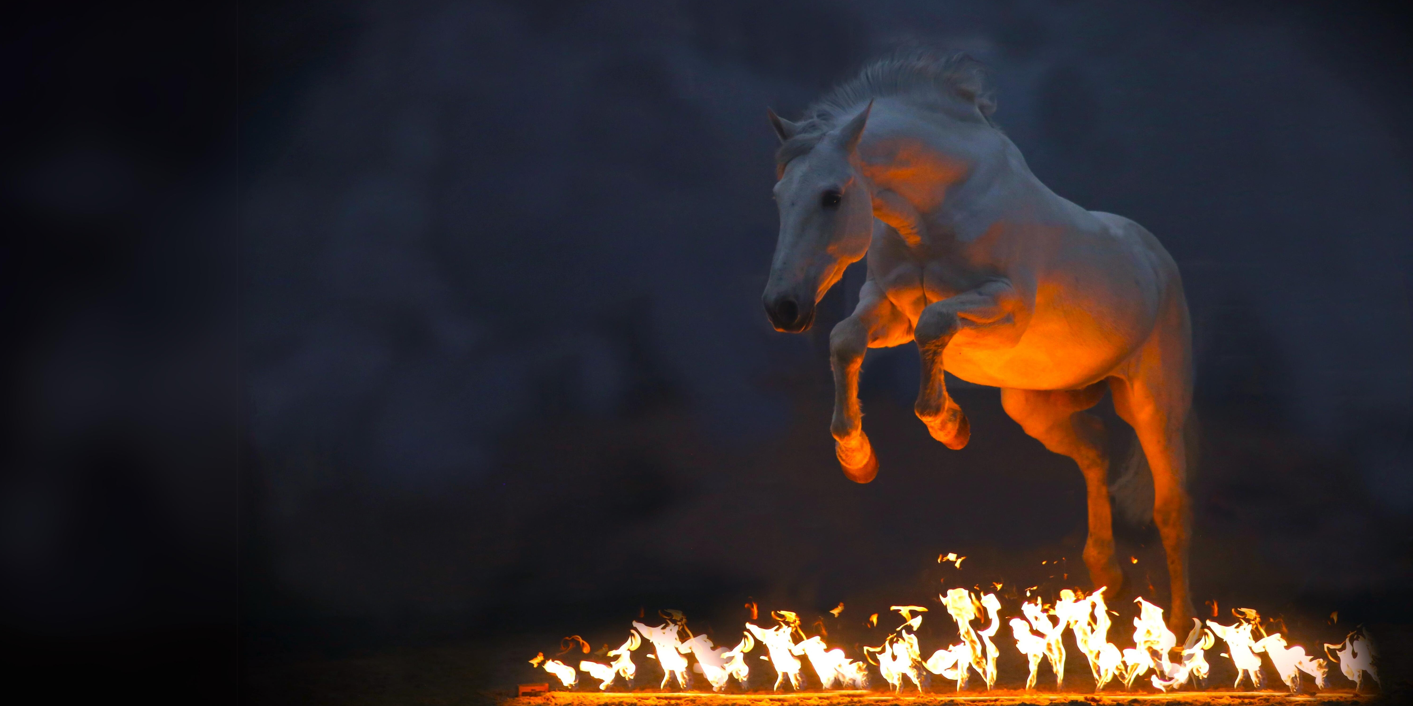 horses_on_stage