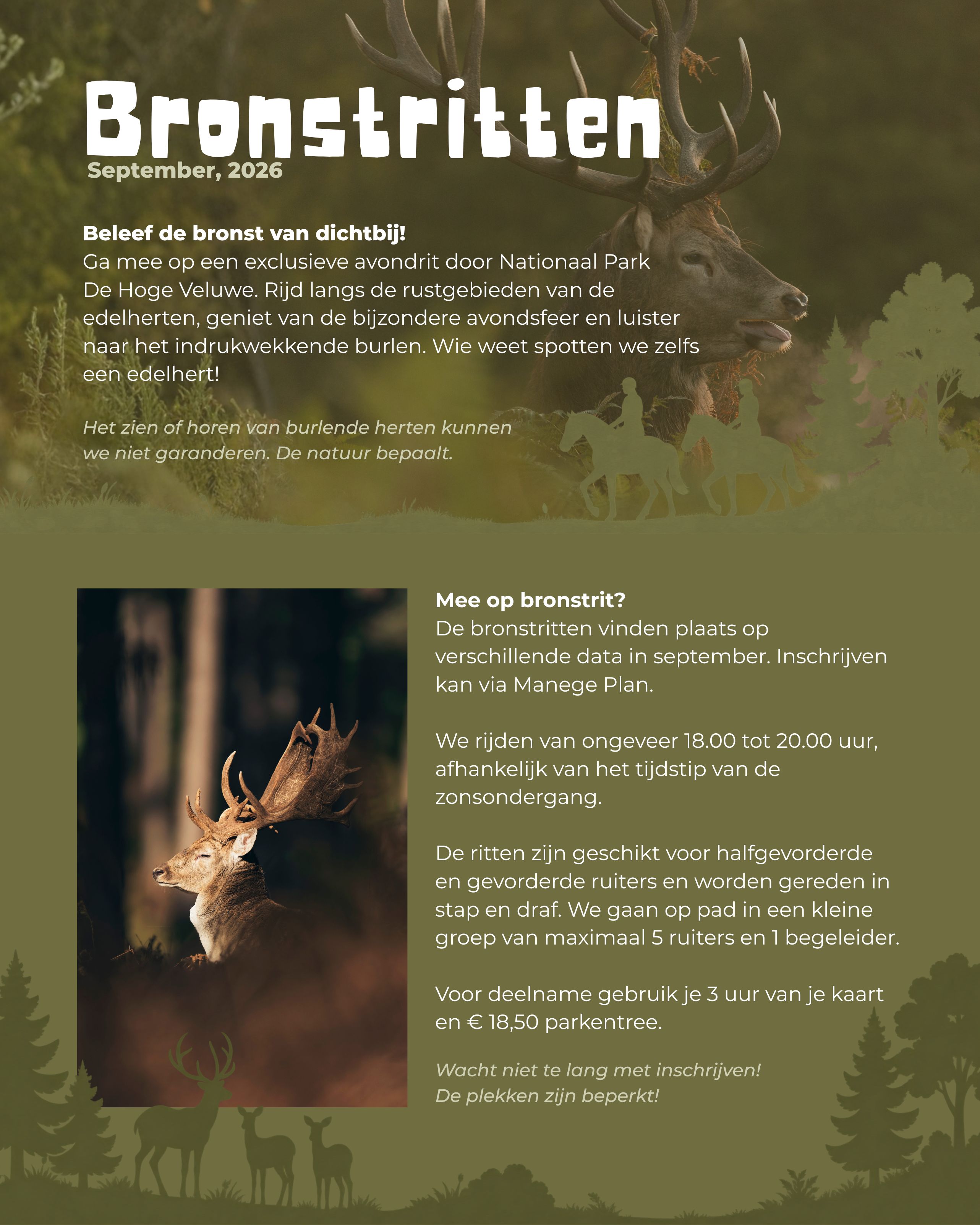 Lisanne van Es hert bronst